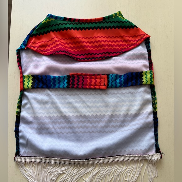 Halloween Costume with matching Sombrero. - Picture 8 of 13